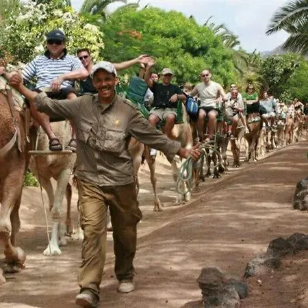 Fuerteventura Paradise *