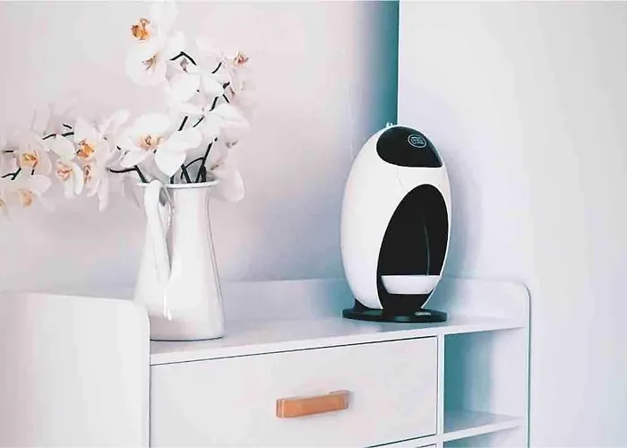 Fuerteventura Paradise Apartamento Corralejo