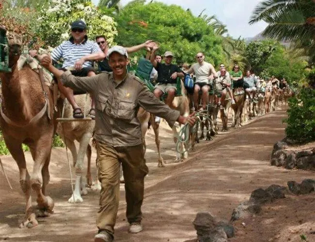 Fuerteventura Paradise *